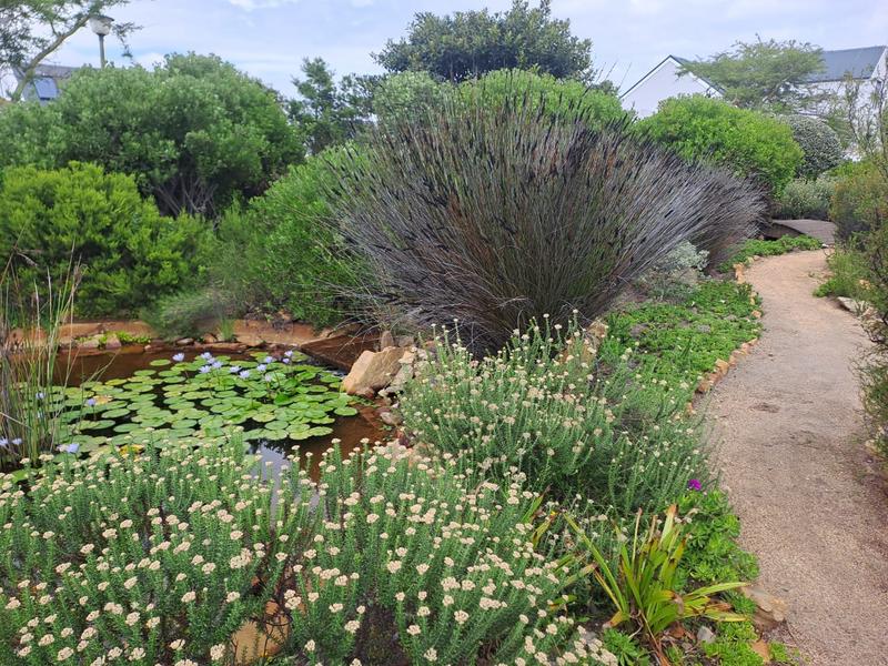 2 Bedroom Property for Sale in Westcliff Western Cape